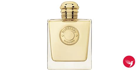 burberry gold perfume review|burberry goddess perfume chemist warehouse.